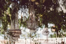 Image by Red Berry Photography