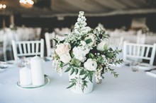 Image by The Evoke Company