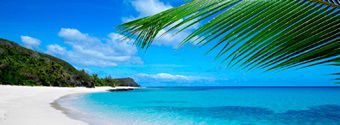 Island Honeymoons